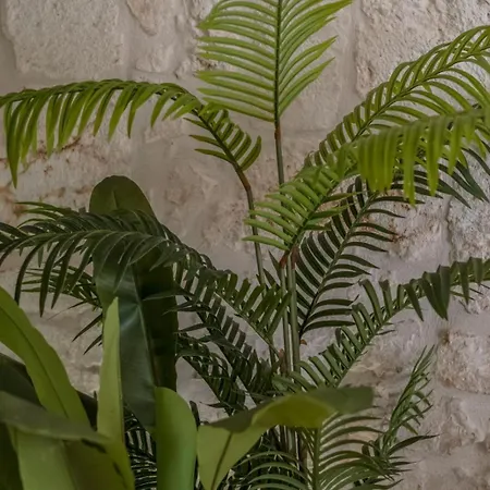 Le Blanche - Luxury Cave Pool דירה *